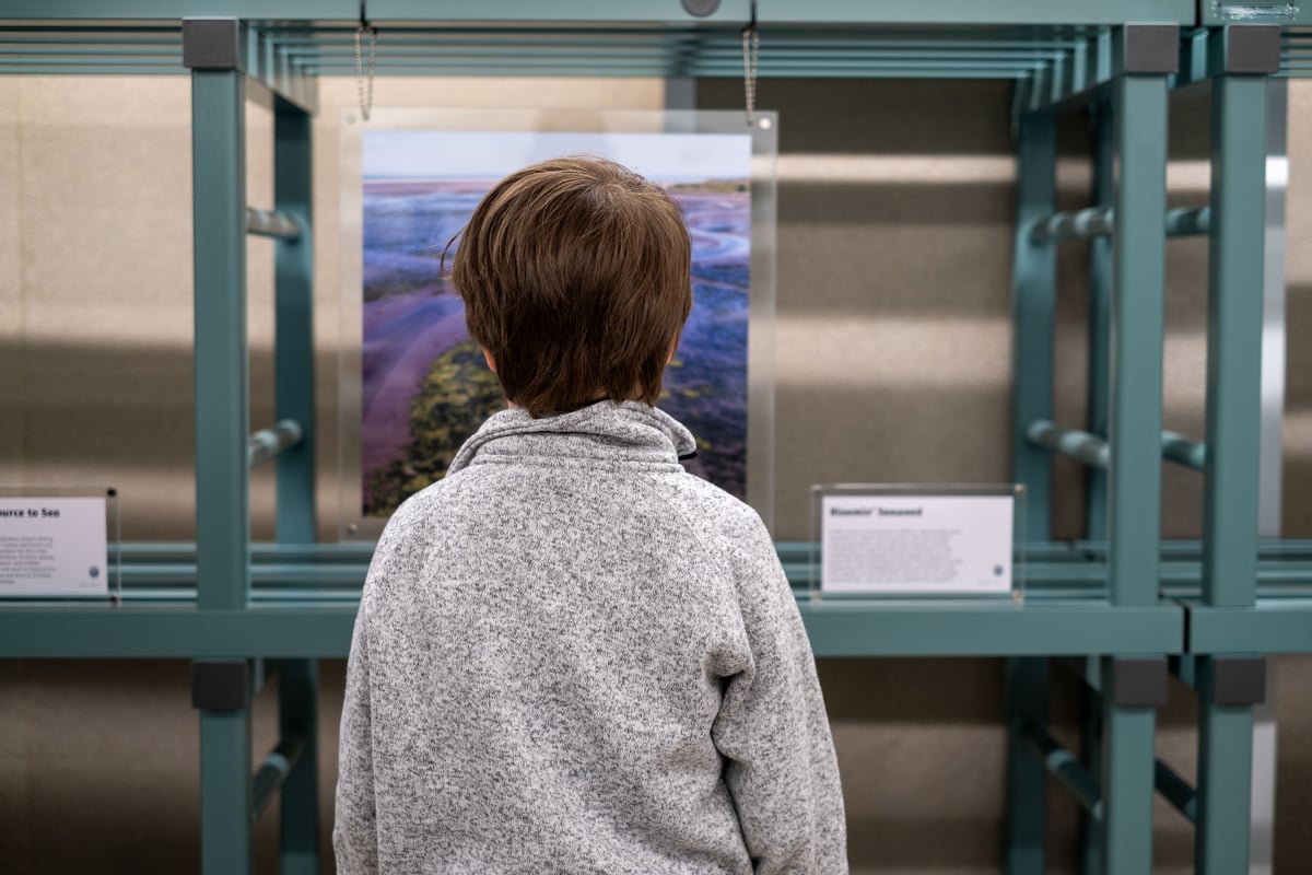 child lookng at art on shelf