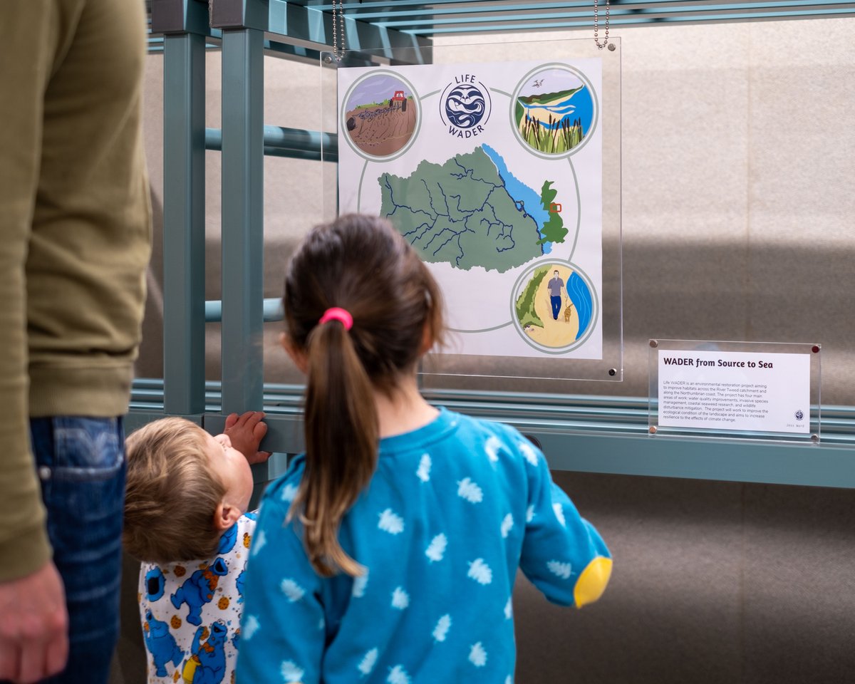 two children looking at artwork