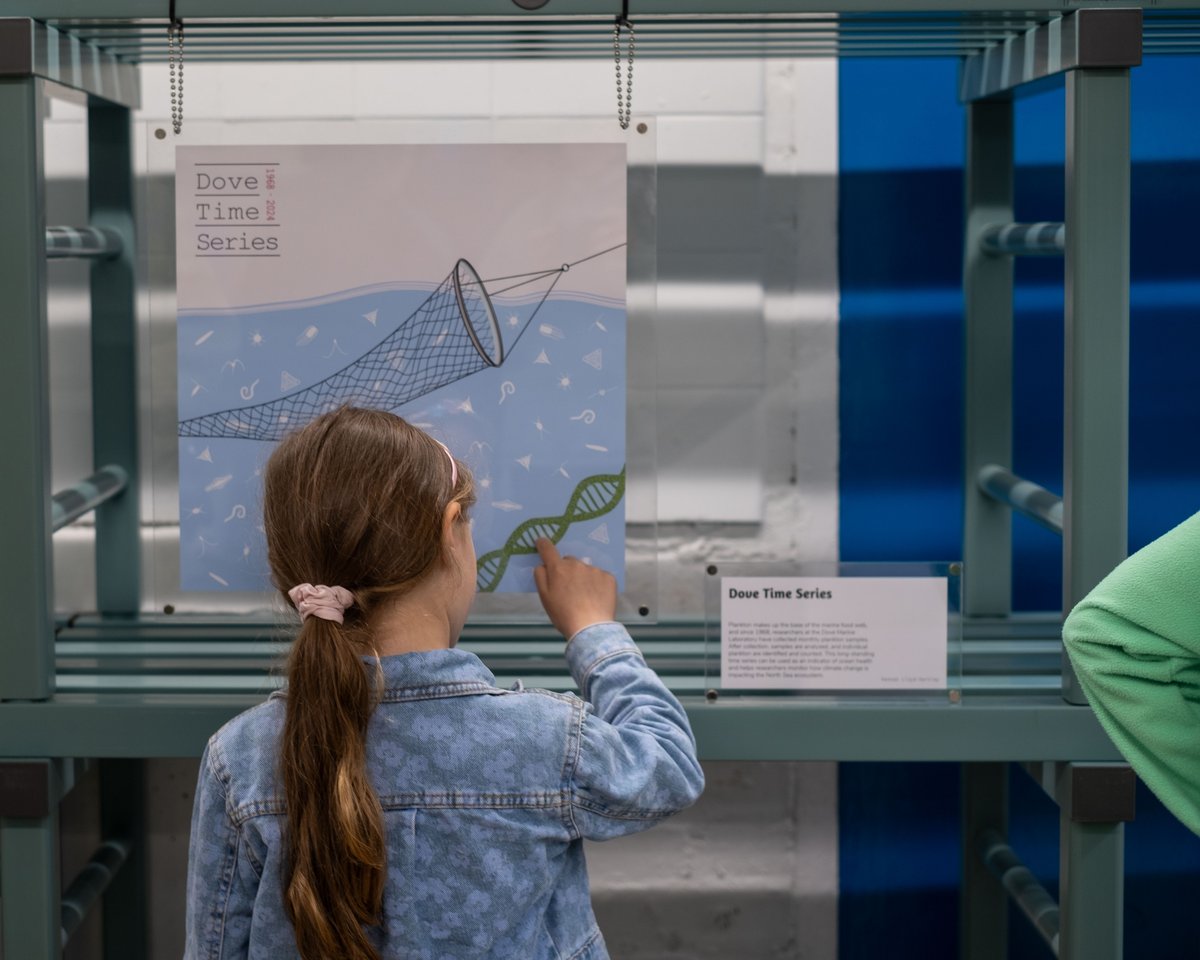 child interacting with climate change artwork 